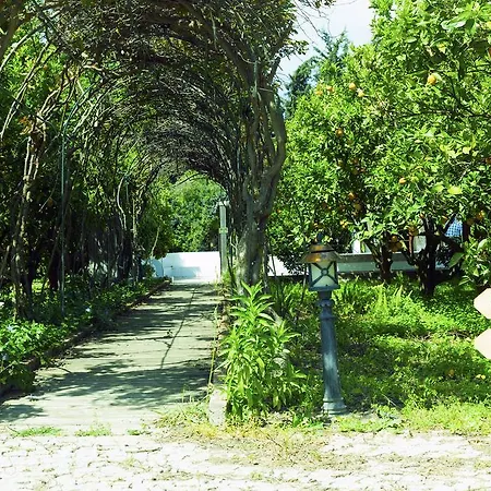 호텔 Olive Farm Of (adults Only) 2*