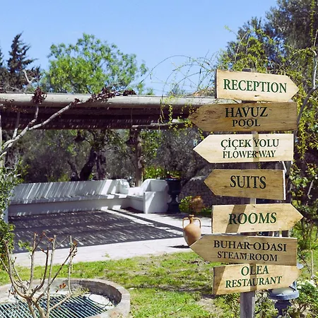 Olive Farm Of (adults Only) 호텔 2*