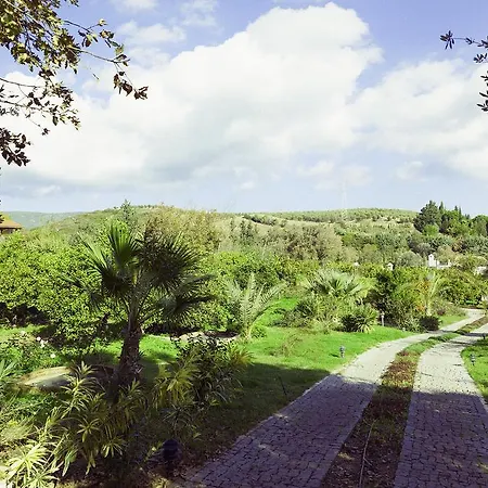 Olive Farm Of (adults Only) 2* 닷차