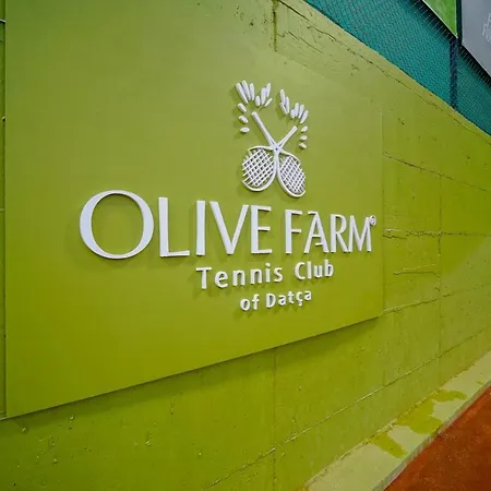 호텔 Olive Farm Of (adults Only)