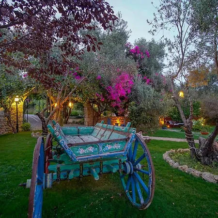 Olive Farm Of (adults Only) 호텔 2*
