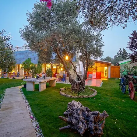 Olive Farm Of (adults Only) 호텔