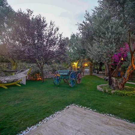 Olive Farm Of (adults Only) 호텔 2*