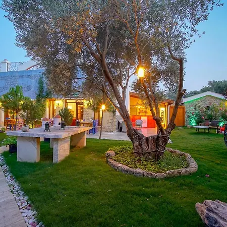 Olive Farm Of (adults Only) 2* Датча
