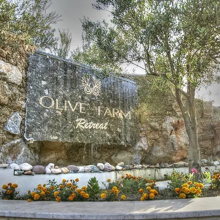 Olive Farm Of (adults Only) 2* Датча