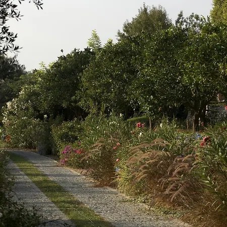 Olive Farm Of (adults Only) 호텔