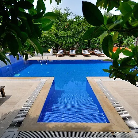 호텔 Olive Farm Of (adults Only)