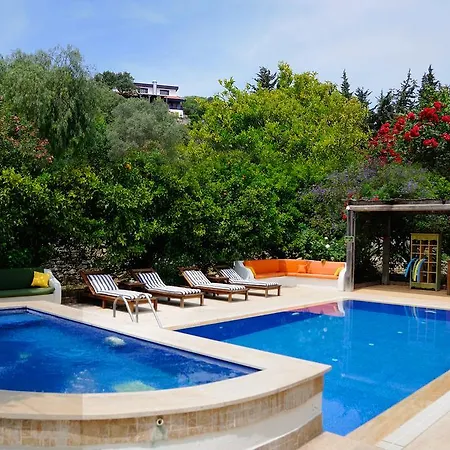 Olive Farm Of (adults Only)