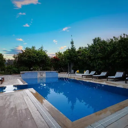 호텔 Olive Farm Of (adults Only) 2*