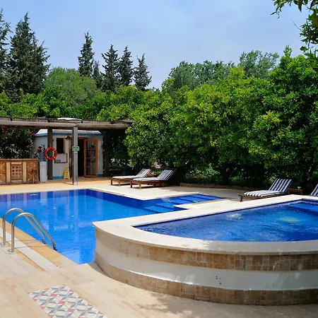 Olive Farm Of (adults Only) 닷차