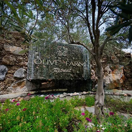 Olive Farm Of (adults Only) Datça