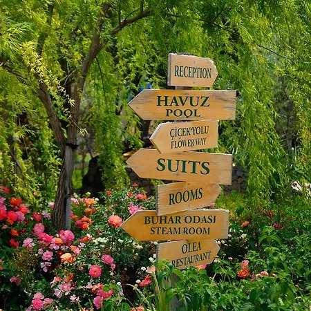Olive Farm Of (adults Only) Datça
