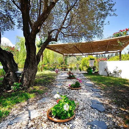 Hotel Olive Farm Of (adults Only) Datça