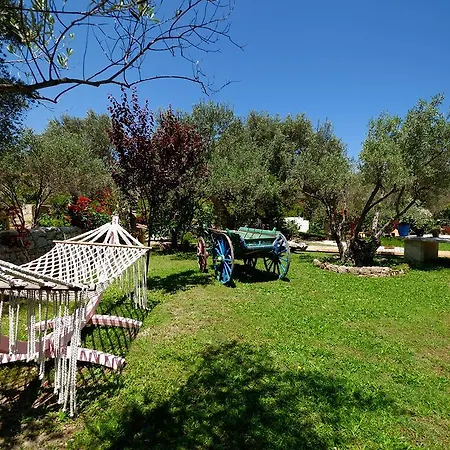 Hotel Olive Farm Of (adults Only) Datça